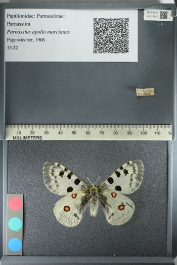 Media type: image;   Entomology 175427